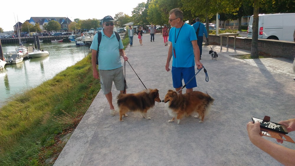 Fandzy sur les quais de Saint Valry sur Somme.